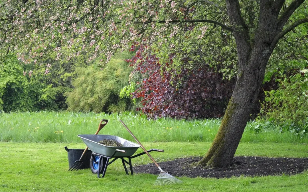 Comment Entretenir Ses Espaces Verts Toute l’Année ?