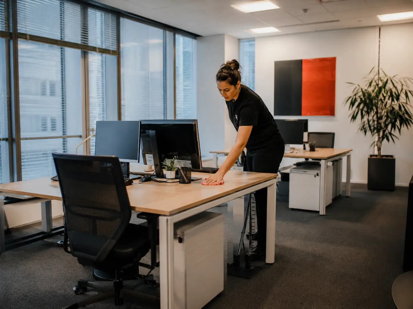 Bureaux et locaux professionnels